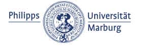 Logo Centrum für Nah- und Mittelost-Studien, Philipps-Universität Marburg Weißraum
